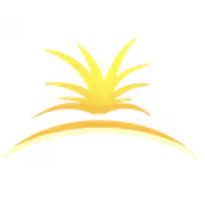 Authenticator App for Sparked Host