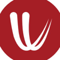 Windy logo